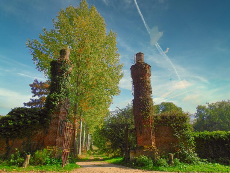 Nieuwjaarsnatuurwandeling met VivaVita in Néthen